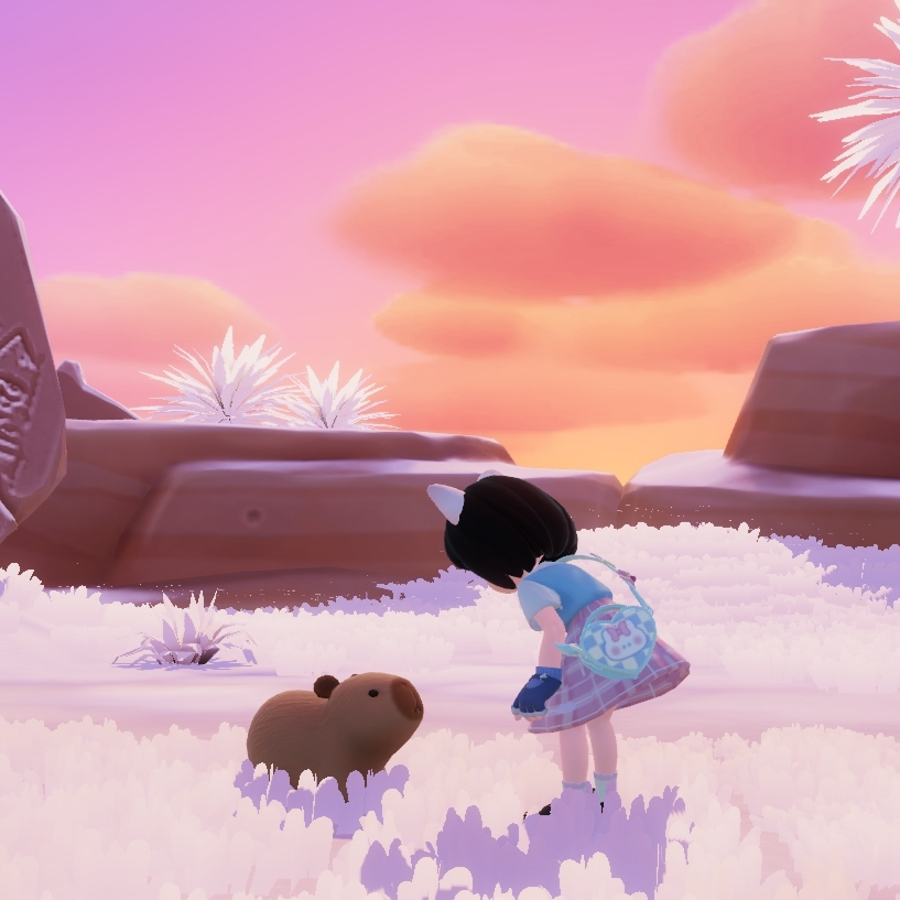 A mysterious photo of mine